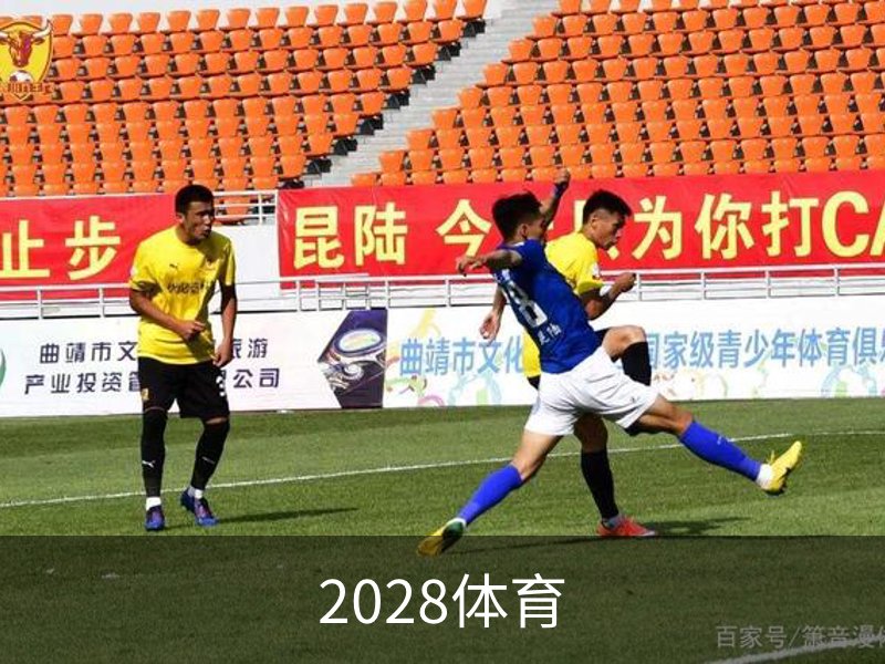 关于2028体育